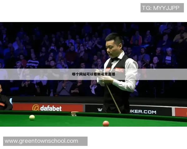 南京羽毛球队在世界杯预选赛中的战术分析与表现评估 南京羽毛球队在世界杯预选赛中的战术分析与表现评估