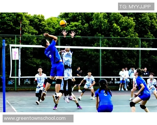 成都排球队的拼搏之路：城市联赛背后的故事与荣耀