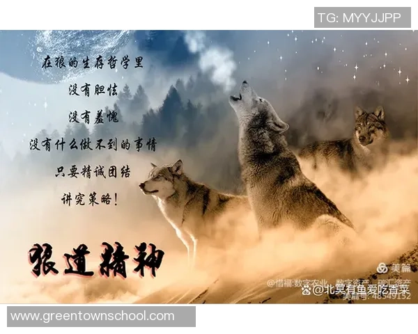 重庆篮球队团队协作的成功之道与战术分析探讨 重庆篮球队团队协作的成功之道与战术分析探讨